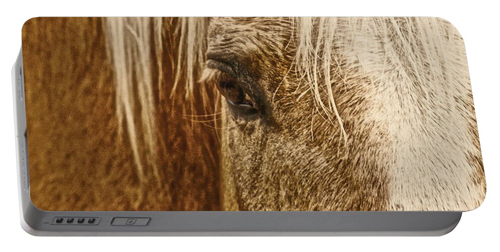 Palomino Horse Portable Battery Charger featuring the photograph Wickenburg's Palomino Gold by Amanda Smith
