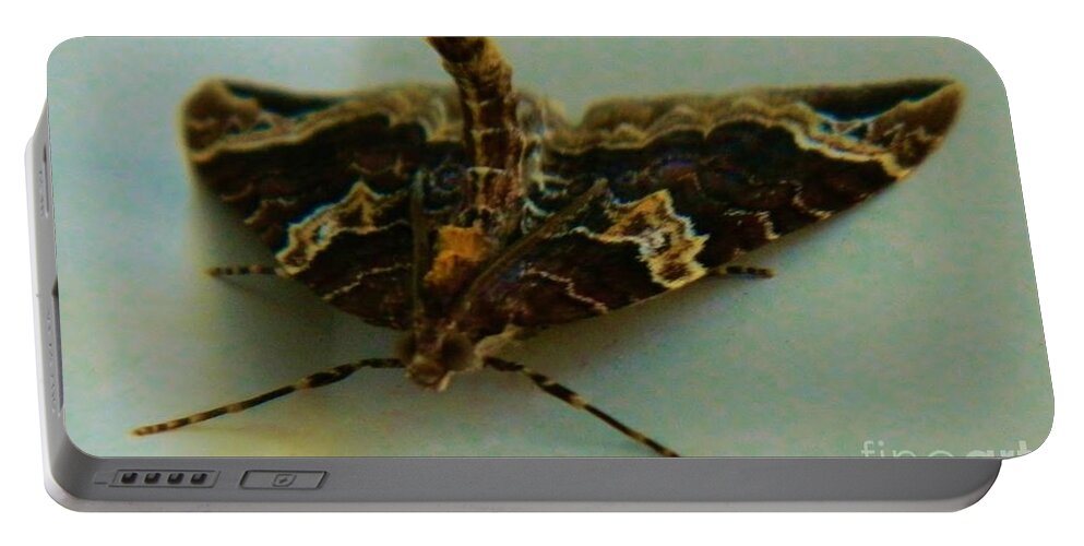 Moth Portable Battery Charger featuring the photograph Wierd Moth 3 by Gallery Of Hope 