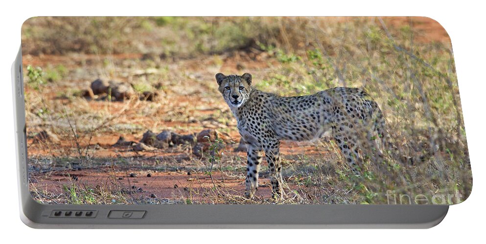 Festblues Portable Battery Charger featuring the photograph Wild Beauty... by Nina Stavlund