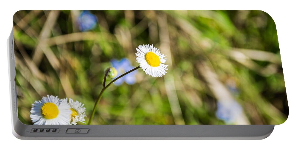 Flowers Portable Battery Charger featuring the photograph Wild Flowers 1 by Shannon Harrington