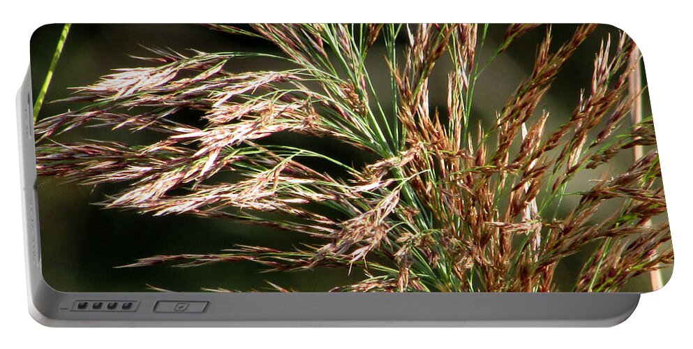 Wild Grass Portable Battery Charger featuring the photograph Wild Grasses I by Kimberly Mackowski