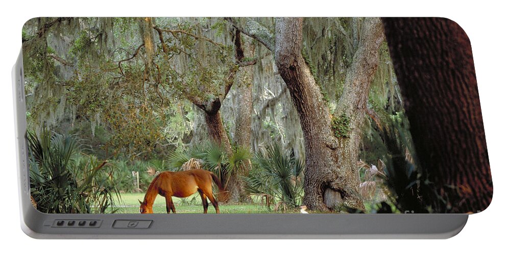 Landscape Portable Battery Charger featuring the photograph Wild Horse on Cumberland Island in Georgia by Art Wolfe