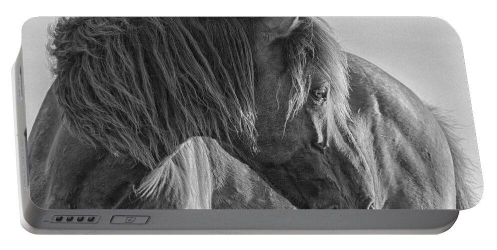 Wild Portable Battery Charger featuring the photograph Wild Horse on Watch by Bob Decker