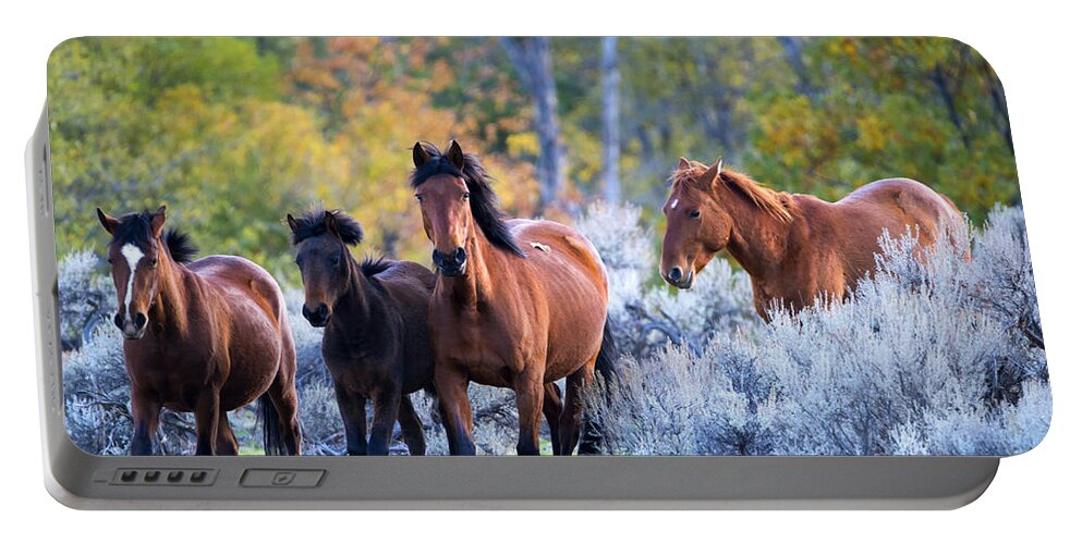 Mustangs Portable Battery Charger featuring the photograph Wild Mustang Autumn by Michael Dawson