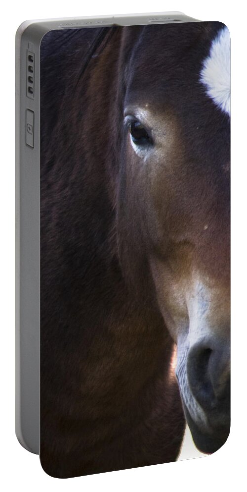 Andalusia Portable Battery Charger featuring the photograph Wild Mustangs of New Mexico 42 by Catherine Sobredo