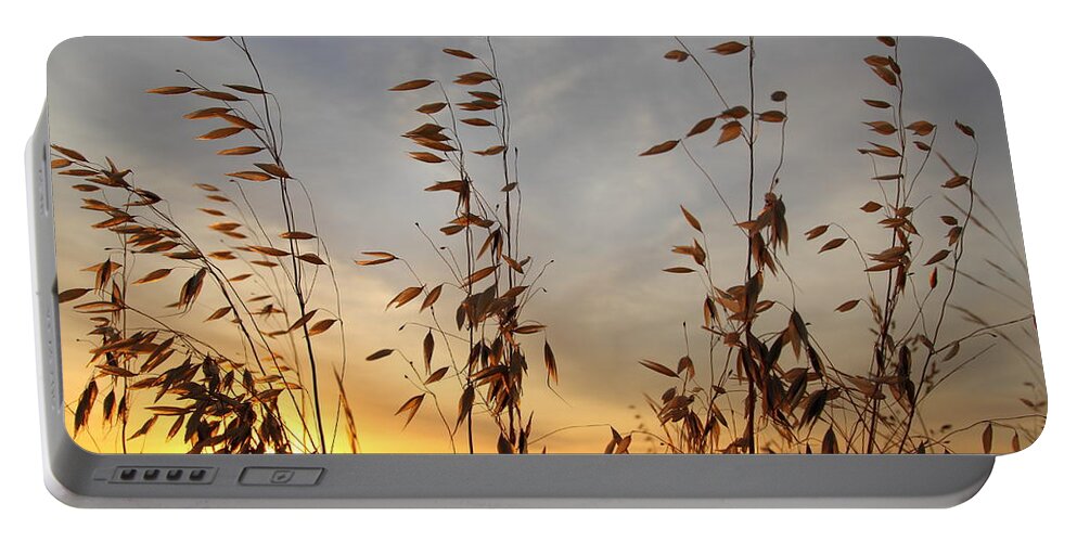 Wild Oats Portable Battery Charger featuring the photograph Wild Oats 2AM-110425 by Andrew McInnes