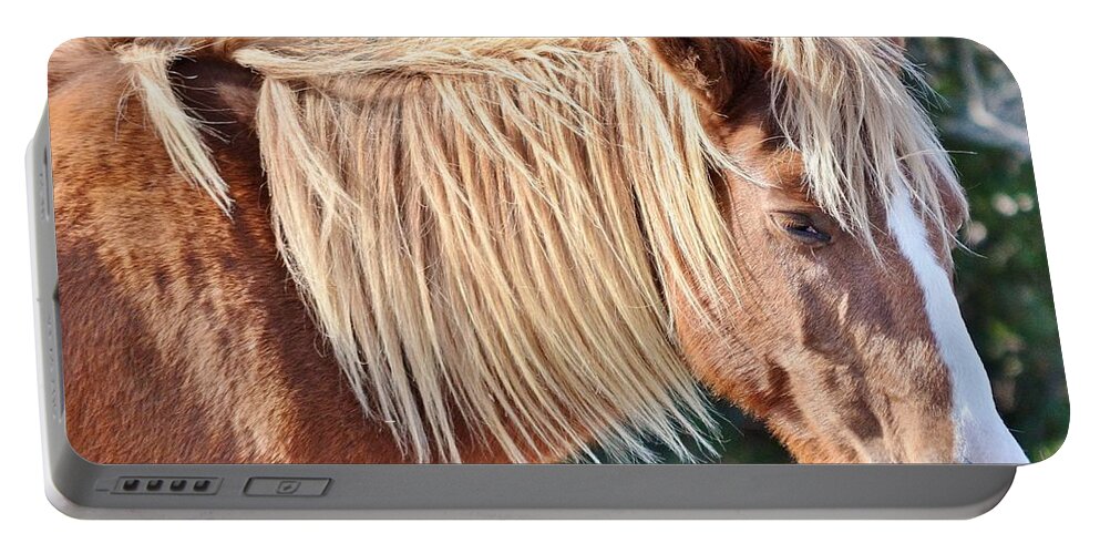 Horse Portable Battery Charger featuring the photograph Wild Ponies of Assteague 20 by Kim Bemis
