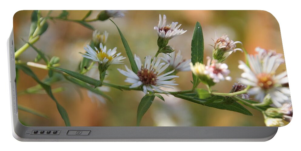 Wild Flower Portable Battery Charger featuring the photograph Wildflowers by Valerie Collins