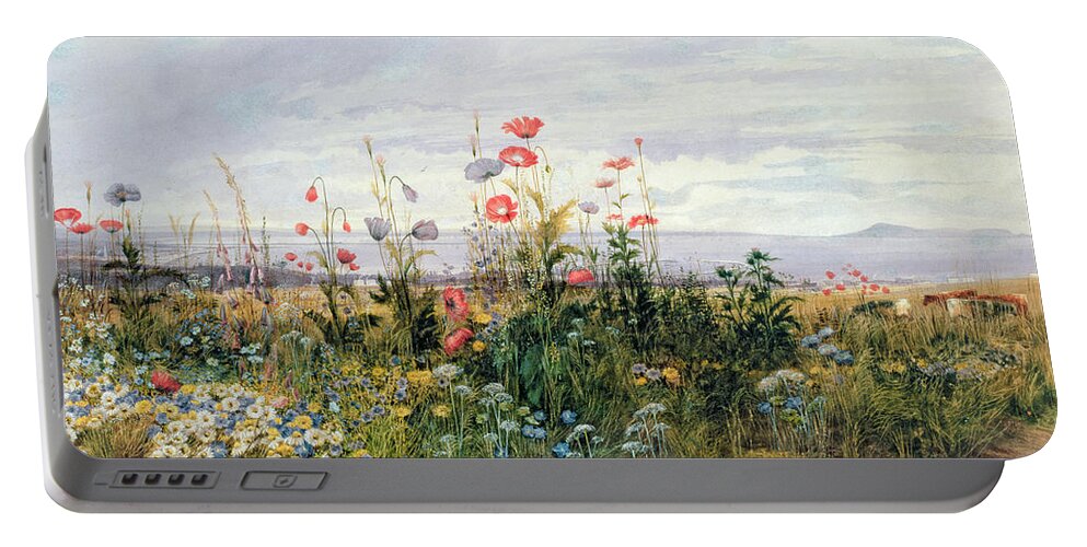 Meadow; Flowers; Irish; Wild; Landscape; Poppies Portable Battery Charger featuring the painting Wildflowers with a View of Dublin Dunleary by A Nicholl
