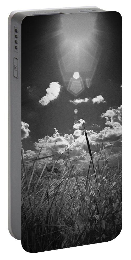 Willow Portable Battery Charger featuring the photograph Willow by Bradley R Youngberg