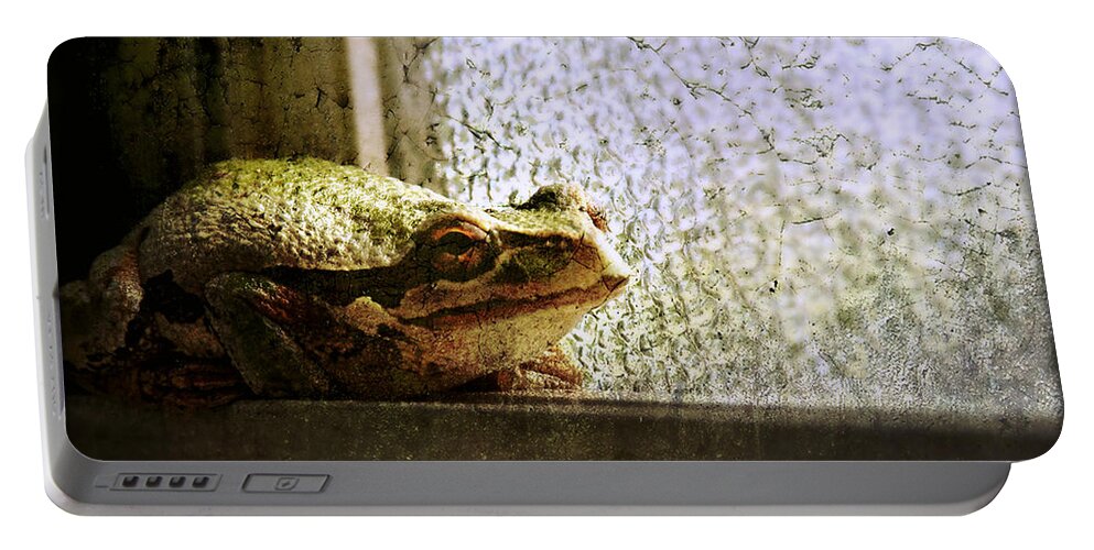 Frog Portable Battery Charger featuring the photograph Windowsill Visitor by Micki Findlay
