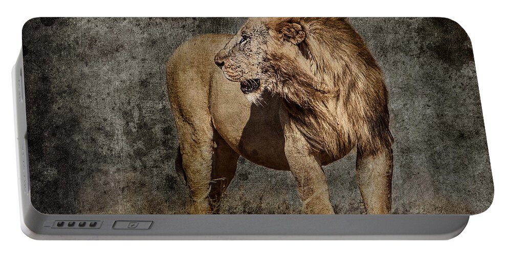 Africa Portable Battery Charger featuring the photograph Windswept Lion by Mike Gaudaur