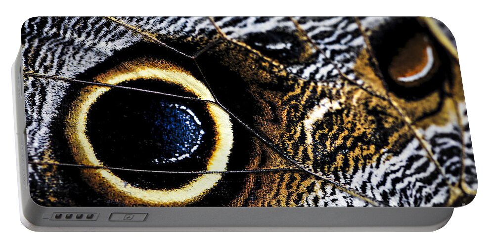 Caligo Portable Battery Charger featuring the photograph Wing of Owl Butterfly by Elena Elisseeva