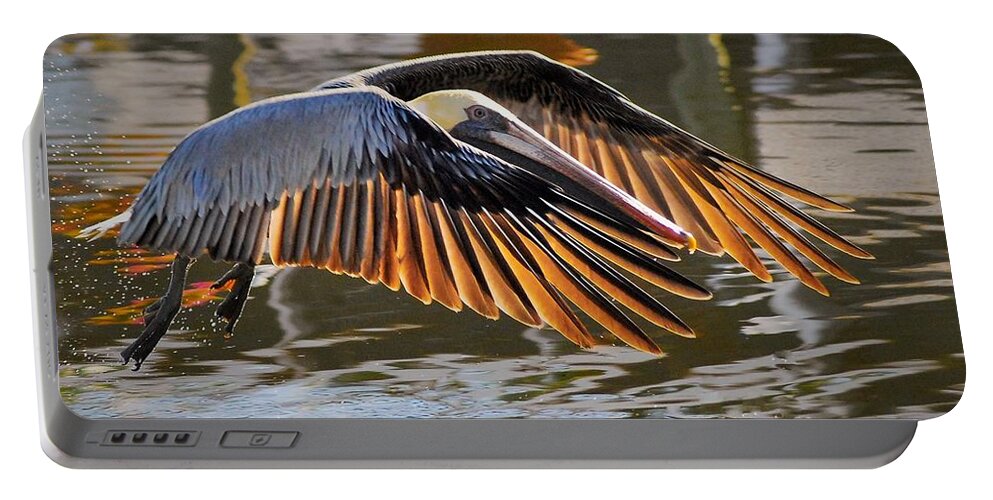 Pelican Portable Battery Charger featuring the photograph Wings Of Gold by Quinn Sedam
