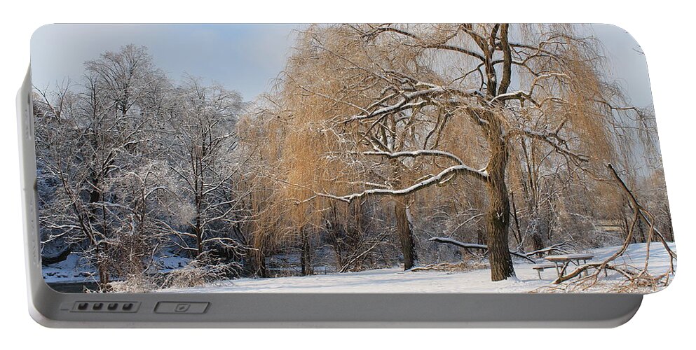 Trees Portable Battery Charger featuring the photograph Winter Along the River by Nina Silver