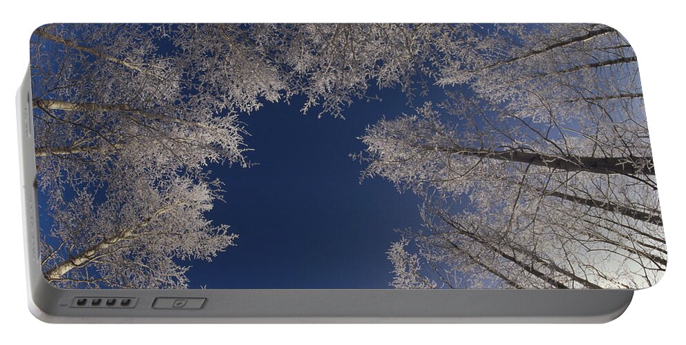 Feb0514 Portable Battery Charger featuring the photograph Winter Aspen Canopy Yellowstone by Konrad Wothe
