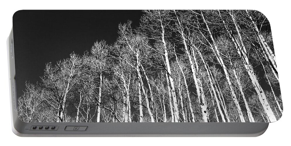 Trees Portable Battery Charger featuring the photograph Winter Aspens by Roselynne Broussard