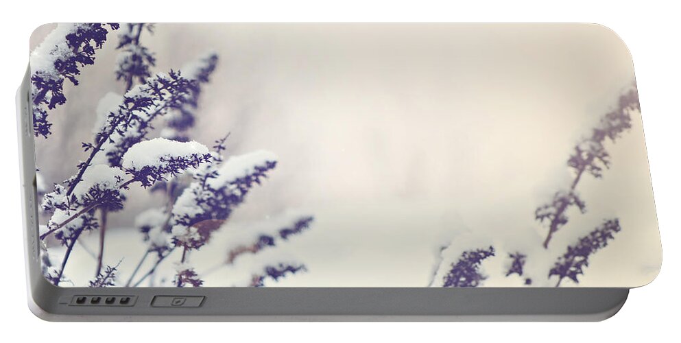 Bush Portable Battery Charger featuring the photograph Winter background by Sophie McAulay