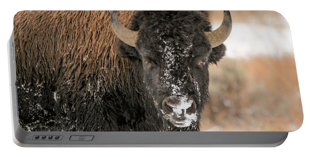 Yellowstone Portable Battery Charger featuring the photograph Winter Begins by Kevin Dietrich