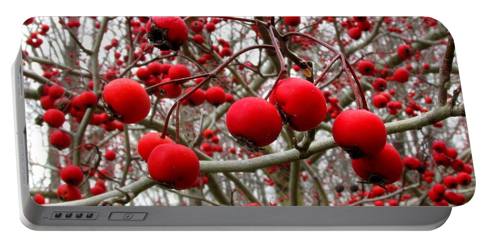 Red Berries Winter Berries Wild Berries Winter Flora Winter Color Natural Christmas Decoration Seasonal Dcor Natural Interior Design Wall Art Red And Gray Art Portable Battery Charger featuring the photograph Winter Berryscape by Joshua Bales
