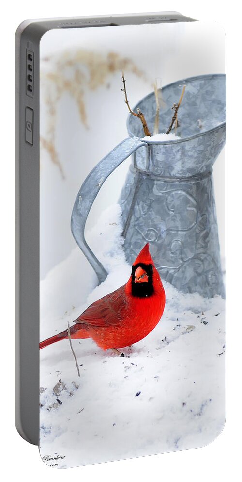 Water Portable Battery Charger featuring the photograph Winter Can Cardinal by Randall Branham