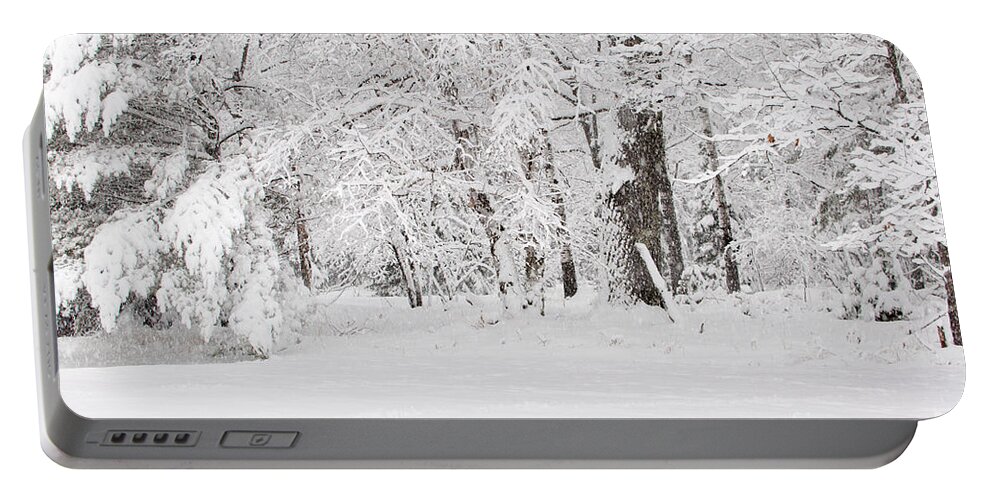 Winter Wonderland Portable Battery Charger featuring the photograph Winter Canvas by Gwen Gibson