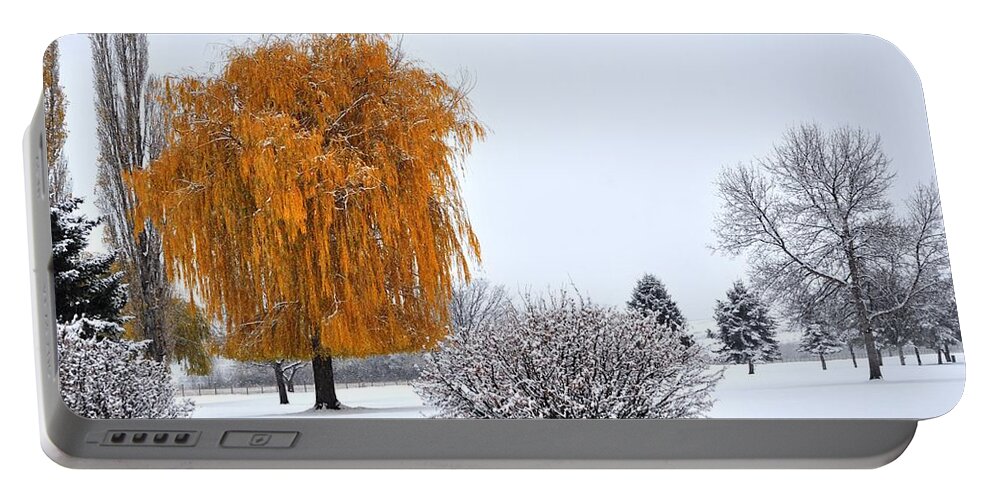 Landscape Portable Battery Charger featuring the photograph Winter Colors by Mike Helland