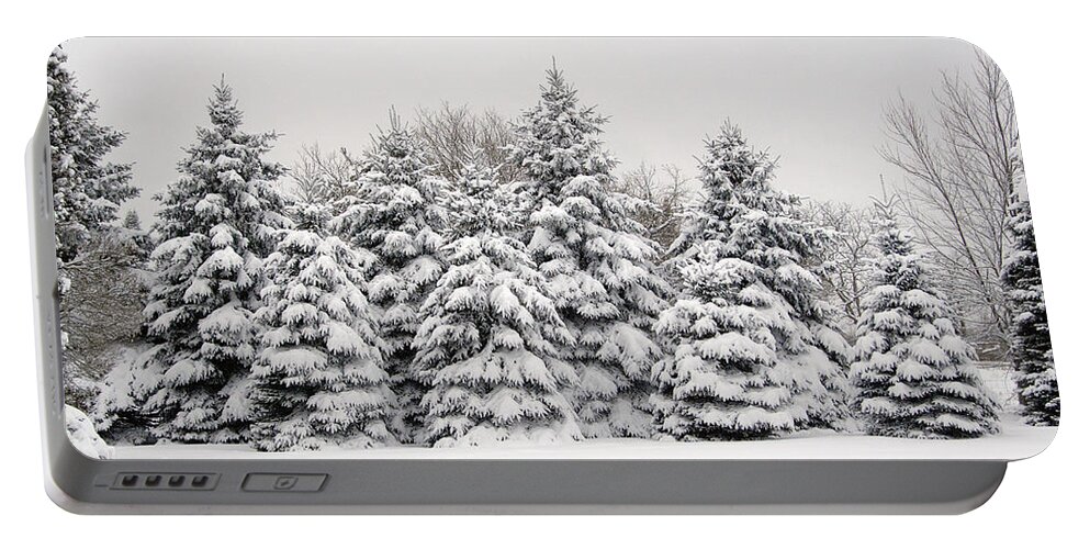 Trees Portable Battery Charger featuring the photograph Winter Copse by Wesley Elsberry