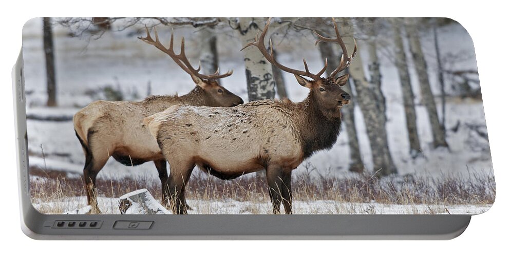 Winter Portable Battery Charger featuring the photograph Winter Elk by Gary Langley
