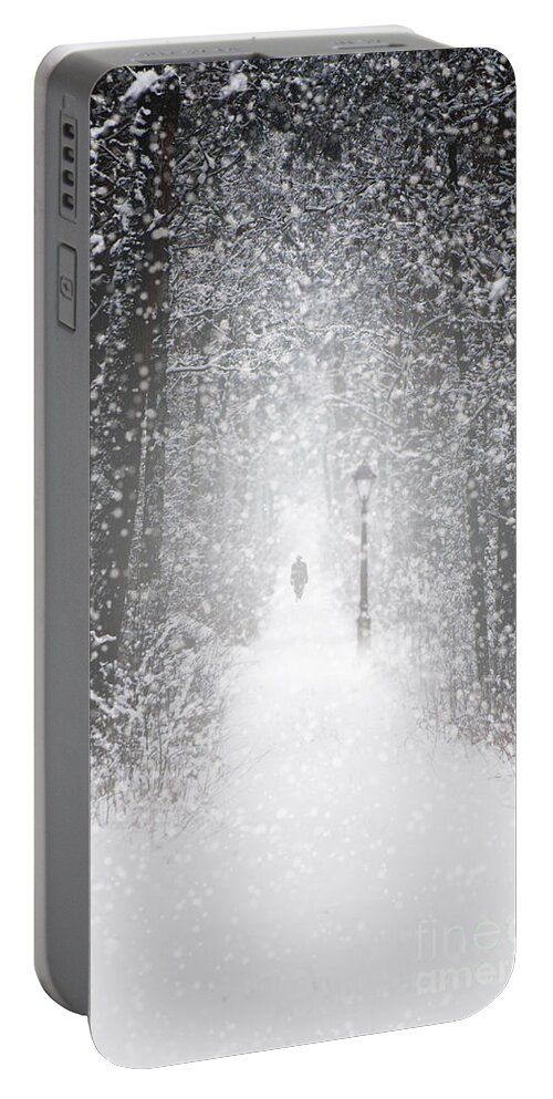 Landscape Portable Battery Charger featuring the photograph Snowing in the forrest by Jaroslaw Blaminsky