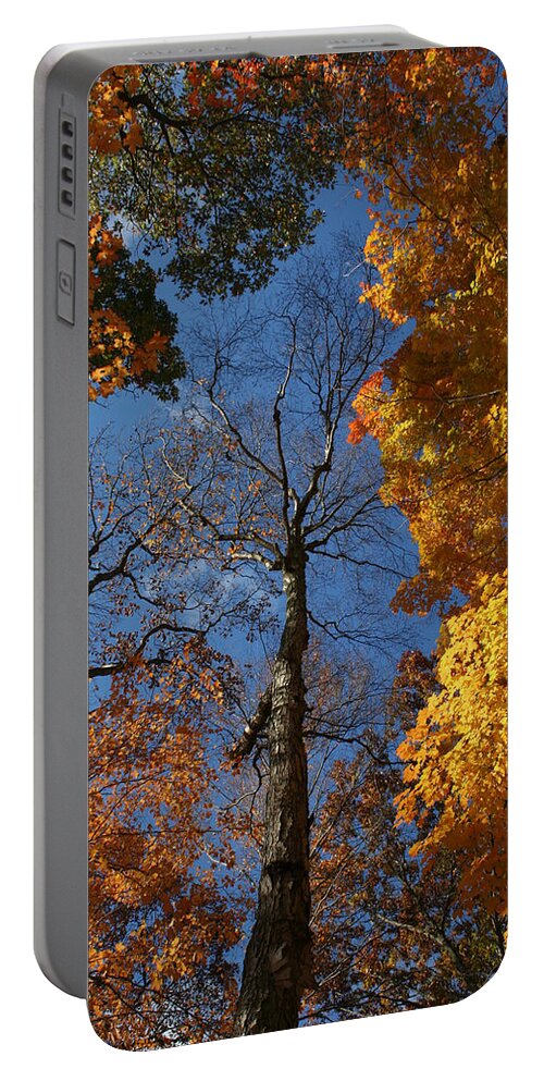 Autumn Portable Battery Charger featuring the photograph Winter is Coming by William Selander