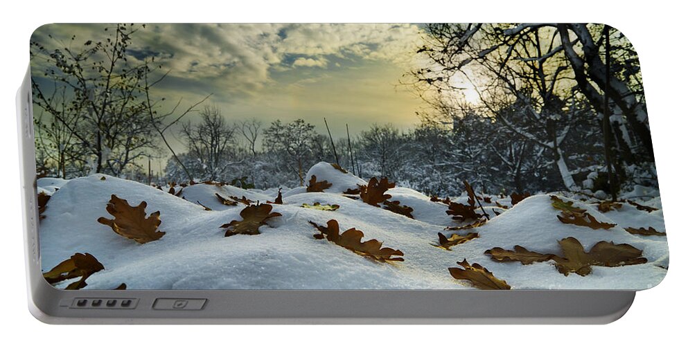 Winter Portable Battery Charger featuring the photograph Winter Landscape by Jelena Jovanovic