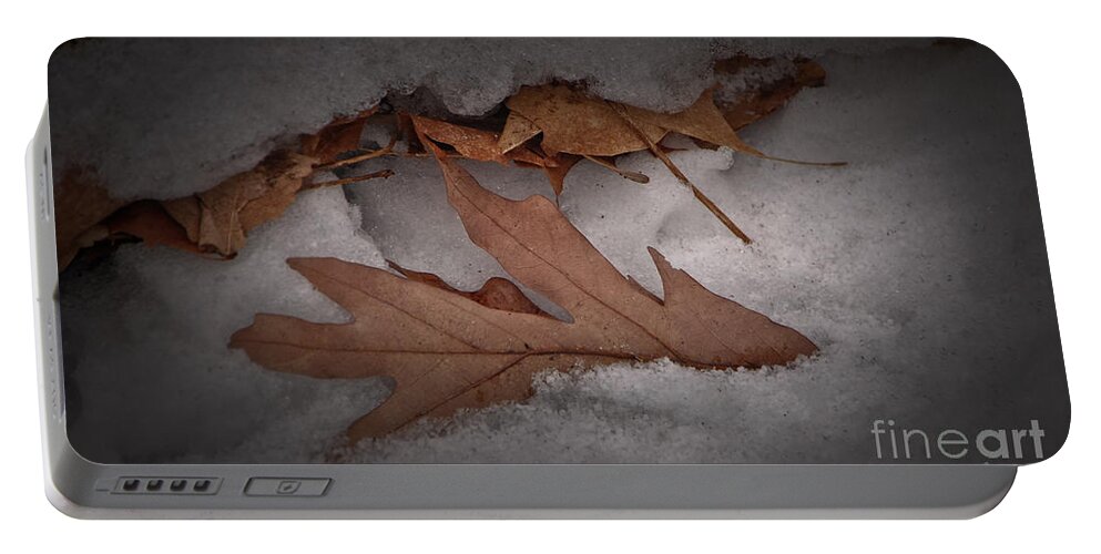 Log Portable Battery Charger featuring the photograph Winter Leaves on Log by Grace Grogan
