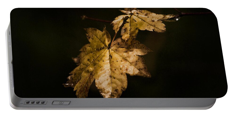 Winter Portable Battery Charger featuring the photograph Winter Leaves by Ron Roberts