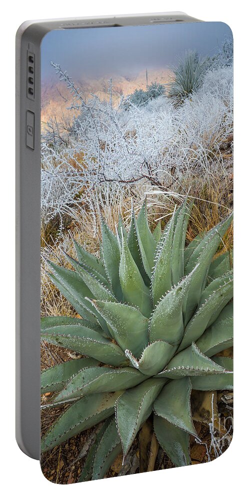 Agave Americana Portable Battery Charger featuring the photograph Winter Morning in the Chisos by Inge Johnsson