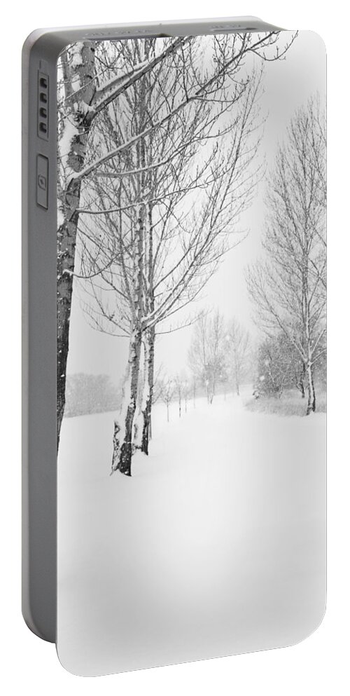 Landscape Portable Battery Charger featuring the photograph Winter Path by Theresa Tahara