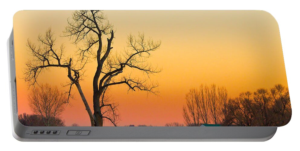 Tree Portable Battery Charger featuring the photograph Winter Season Country Sunset by James BO Insogna