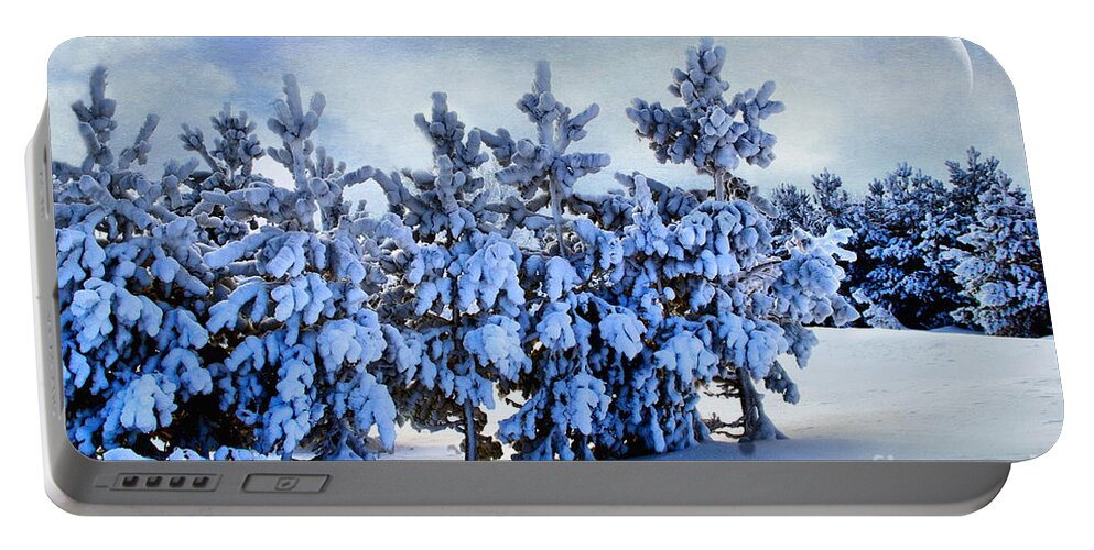 Winter Landscape Portable Battery Charger featuring the photograph Winter Serenity by Andrea Kollo