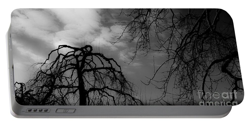 Apple Portable Battery Charger featuring the photograph Winter Silhouette by Michael Arend