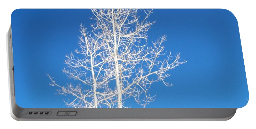 Sky Portable Battery Charger featuring the photograph Winter Sky by Claudia Goodell