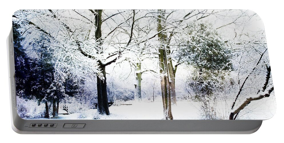 Evie Portable Battery Charger featuring the photograph Winter Snow Grand Rapids Michigan by Evie Carrier