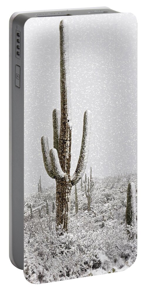 Arizona Portable Battery Charger featuring the photograph Winter Sonoran Style by Saija Lehtonen
