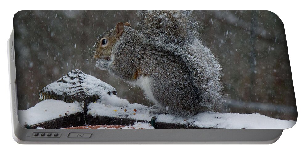 Sandra Clark Portable Battery Charger featuring the photograph Winter Squirrel 3 by Sandra Clark