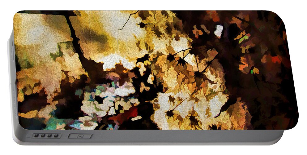 Winter Portable Battery Charger featuring the photograph Winter Sun by Kathy Bassett