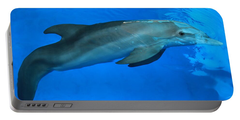 Nature Portable Battery Charger featuring the photograph Winter the Dolphin by Doug McPherson