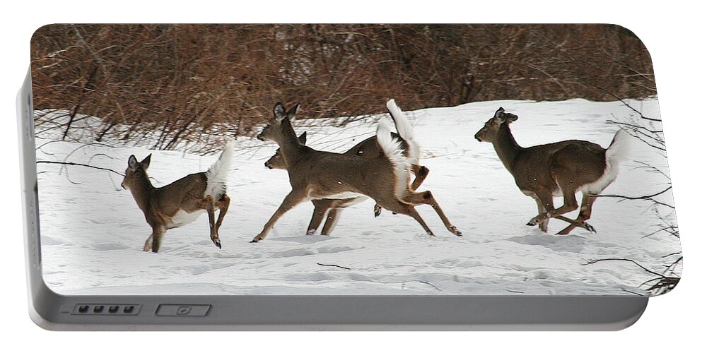 Deer Portable Battery Charger featuring the photograph White Tailed Deer Winter Travel by Neal Eslinger