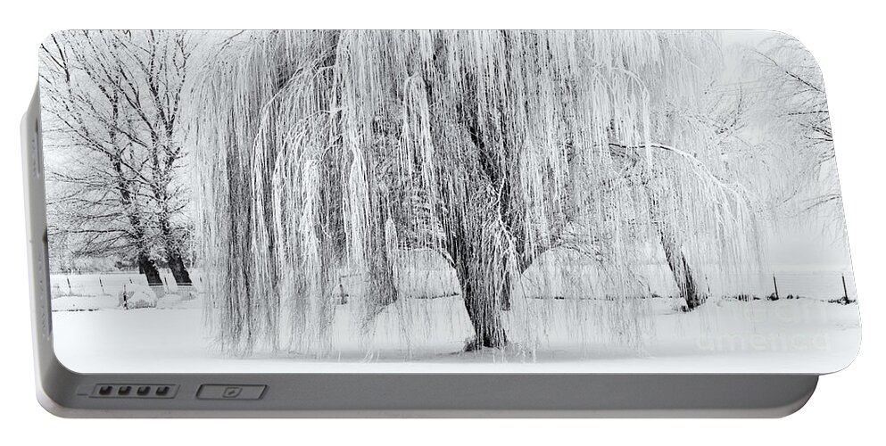 Willow Portable Battery Charger featuring the photograph Winter Willow by Michael Dawson