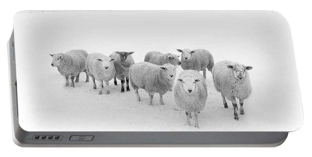 #faatoppicks Portable Battery Charger featuring the photograph Winter Woollies by Janet Burdon