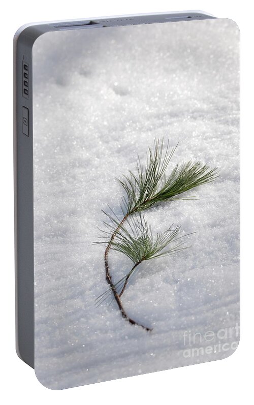 Winter Portable Battery Charger featuring the photograph Winter Zen by jammer by First Star Art