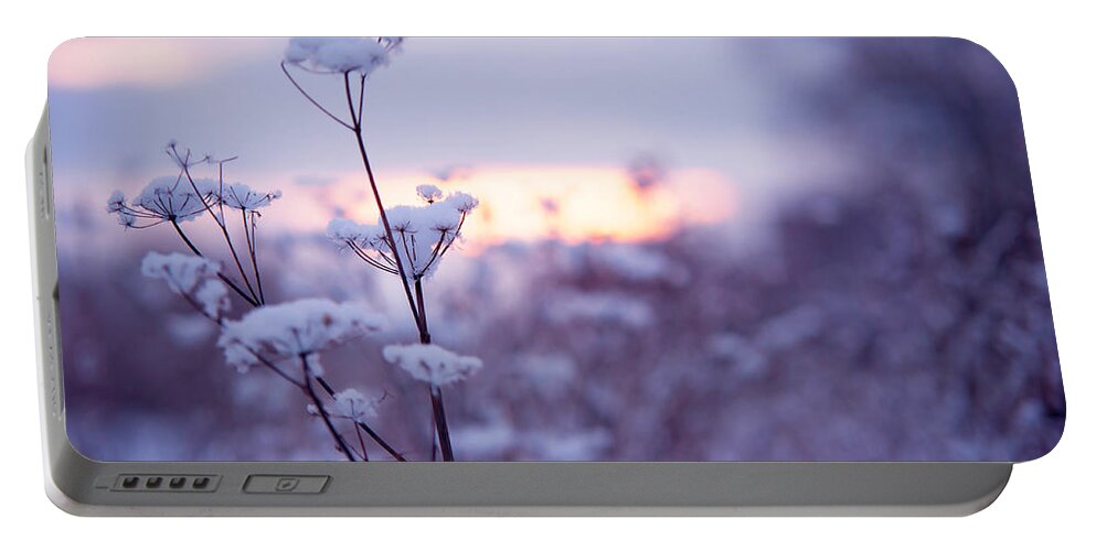 Winter Portable Battery Charger featuring the photograph Winter Zen by Jenny Rainbow